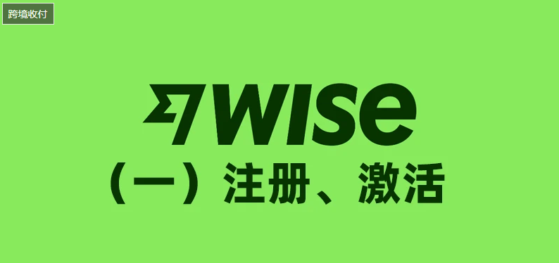 (一)2024 Wise 注册及激活简易教程-老萬资源网