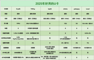 2025年火热的U卡总结-老萬资源网
