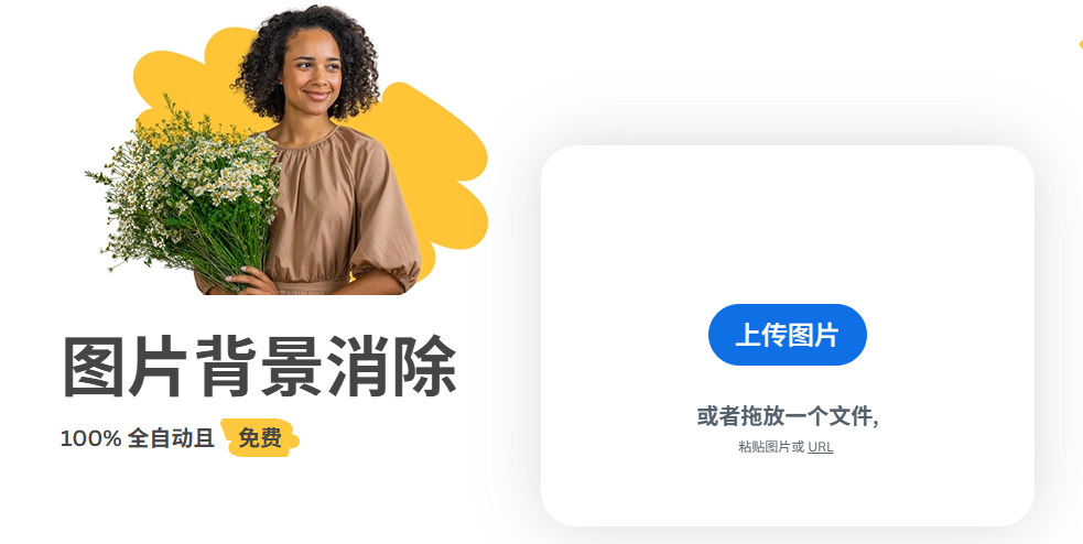 图片[3]-【免费图片背景去除】无脑一键拖入自动生成-老萬资源网