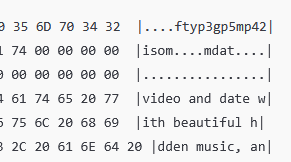 图片[9]-【内录】AI视频如何伪装真实手机拍摄，AI底层标识如何去除-老萬资源网